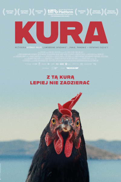 Plakat wydarzenia: Kura 